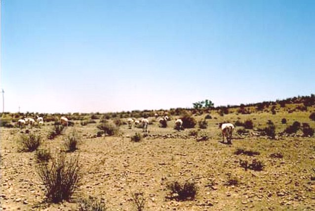 View North