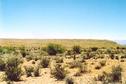 #3: View South with Swartberg Mountains backdrop right