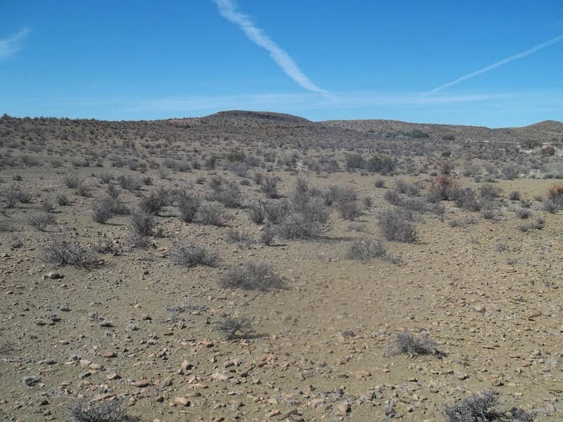 General view towards the Confluence from 50 m to the southwest