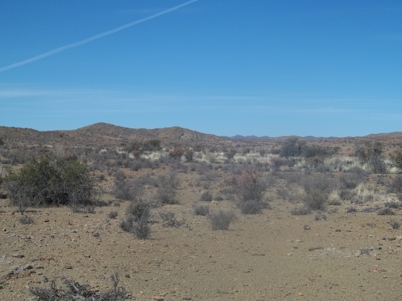 View to the East