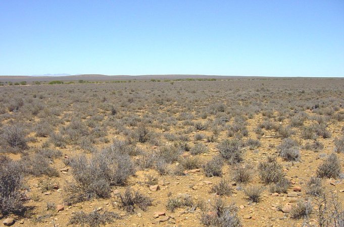 General view of Confluence