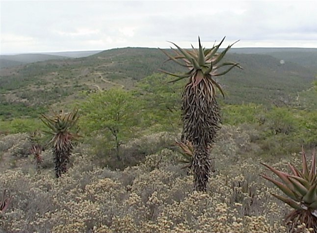 Looking north