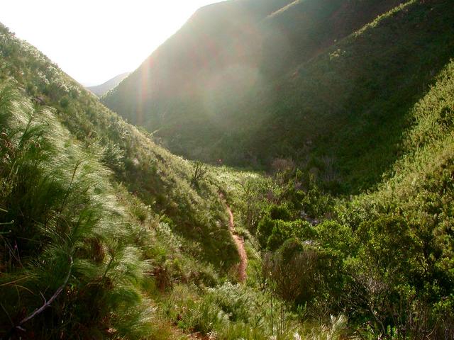 View down the valley