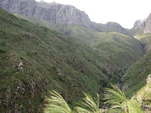 View up the valley, Confluence on slope to the left