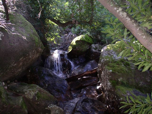 The way up the Jonkershoek River