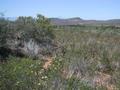 #4: View to the East