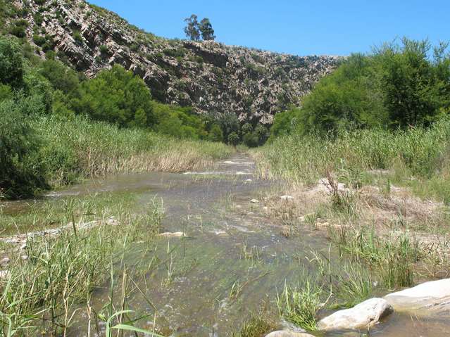 Montague springs