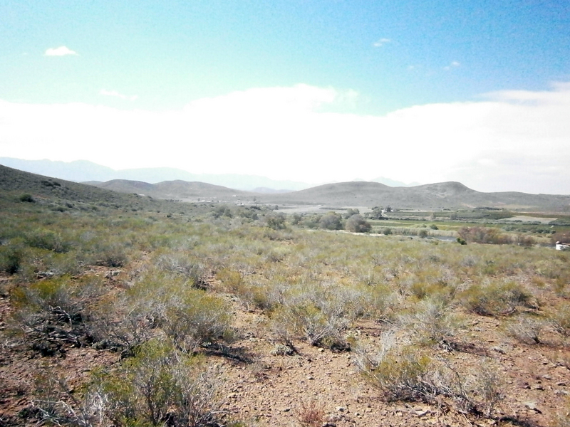 General view from the CP