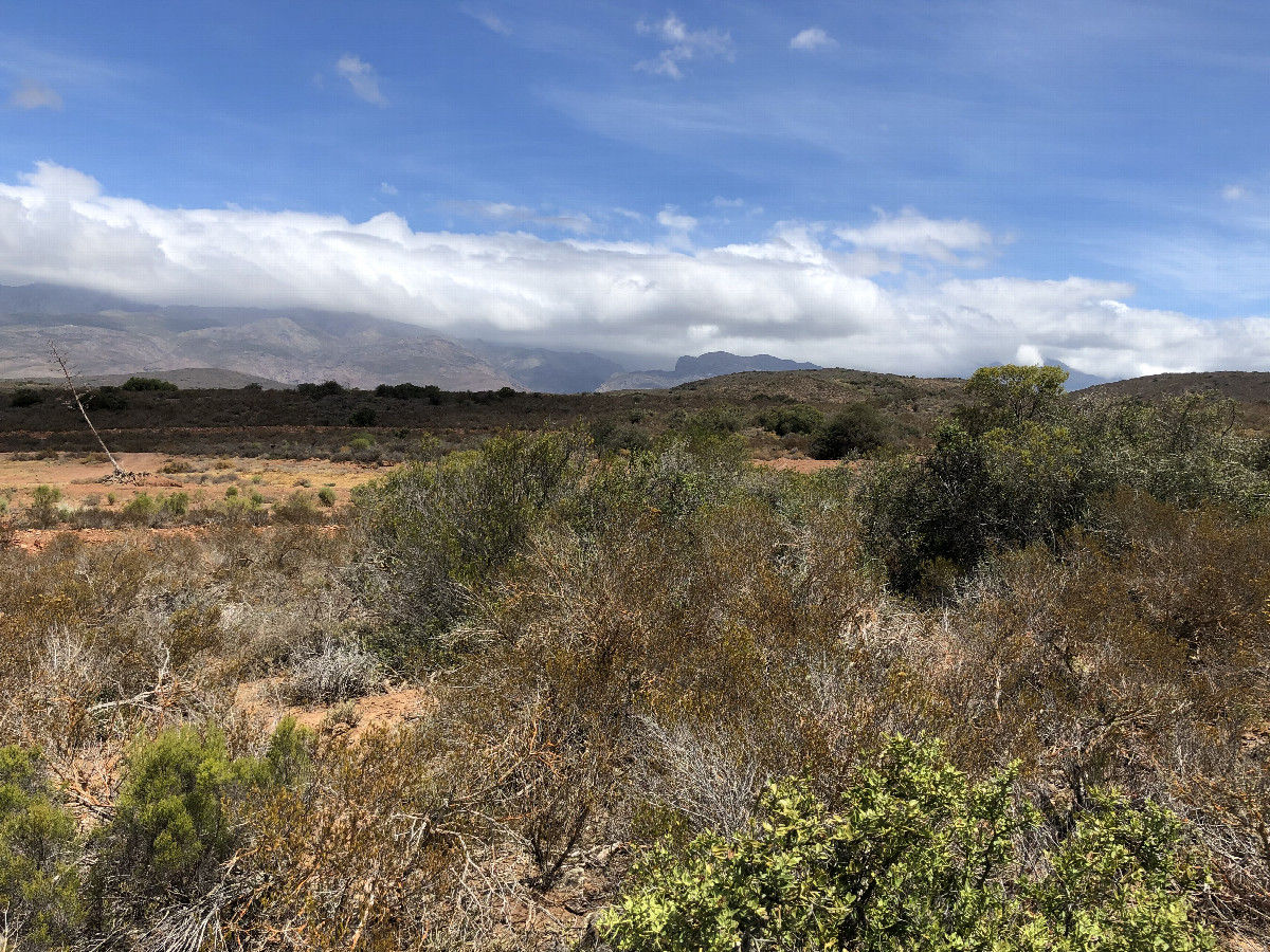 The Confluence from 30 m Distance