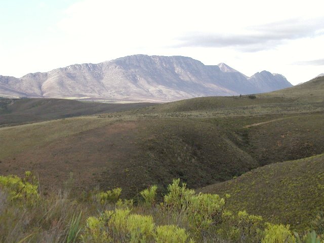 Mountain majesty