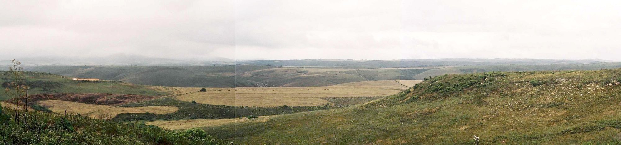 Panoramic view from the road