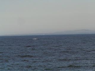 #1: View to West towards Cape Recife