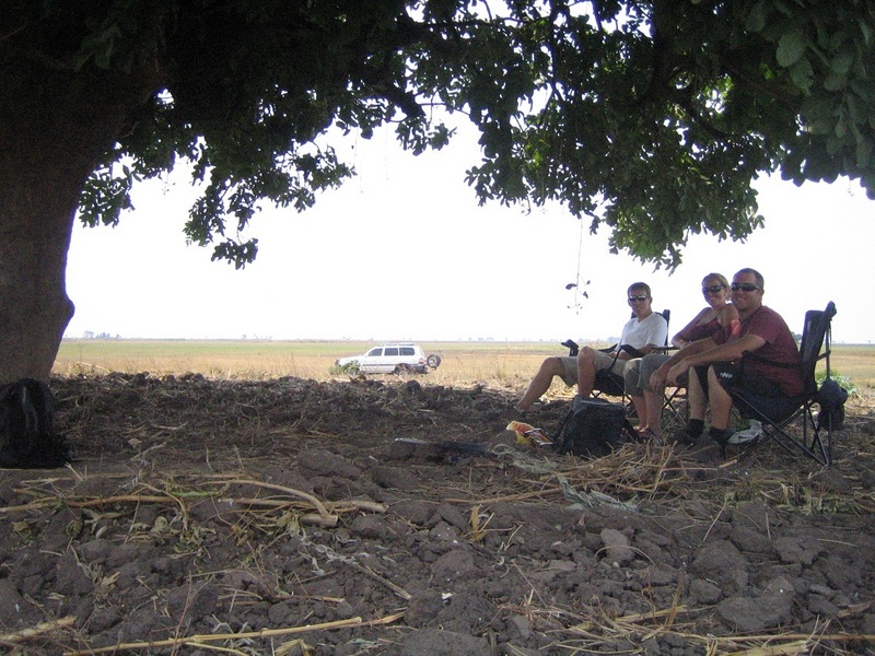 Having lunch under the tree