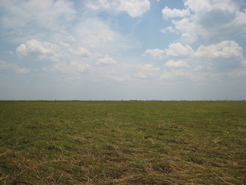 East