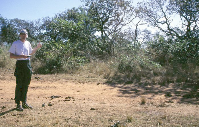 Looking north