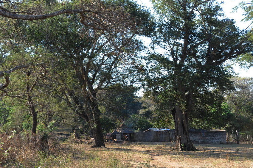 The nearest household from the confluence point - about 330 meters