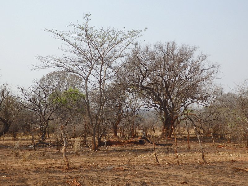 The Confluence from 20 m distance