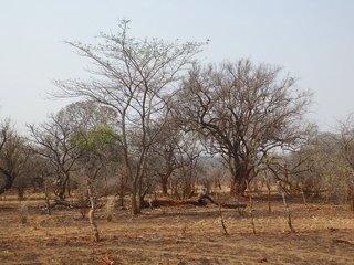 #1: The Confluence from 20 m distance