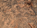 #6: Ground Zero