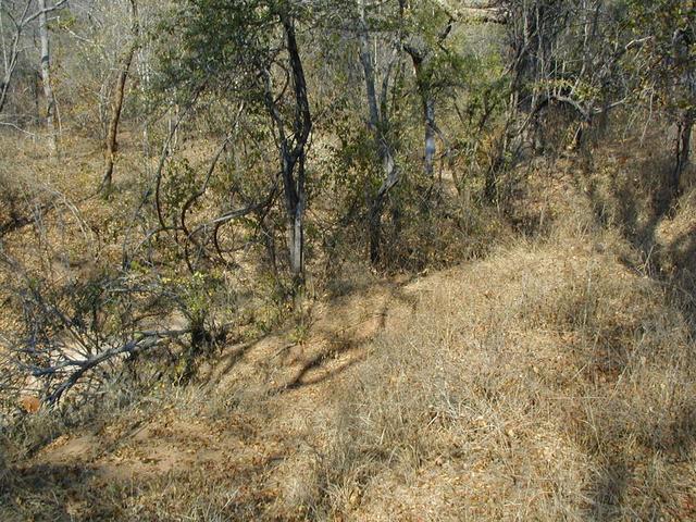 General View of Site