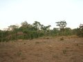 #5: East view