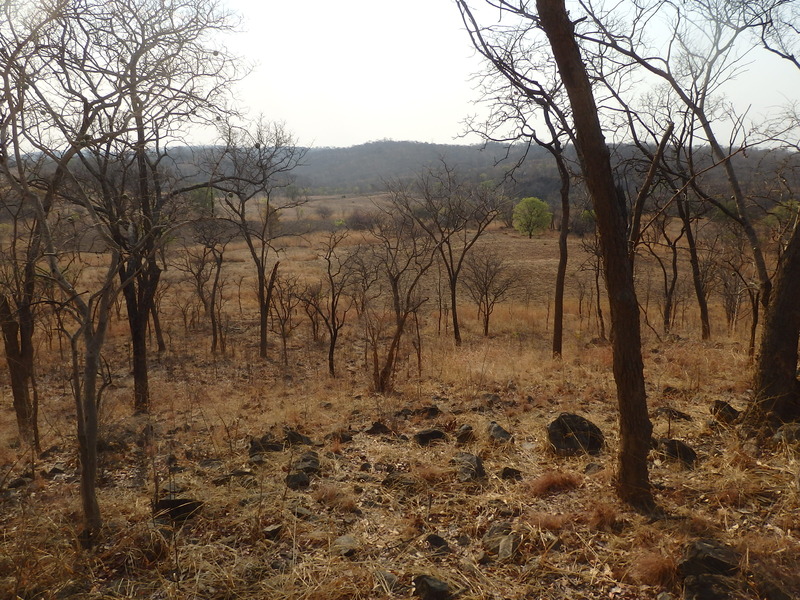 The Confluence from 400 m distance