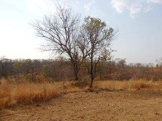 #1: The Confluence from 20 m distance