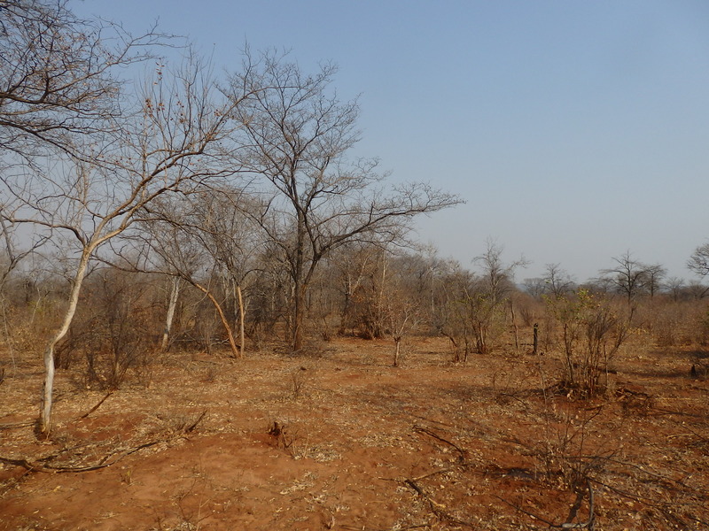 The Confluence from 15 m distance