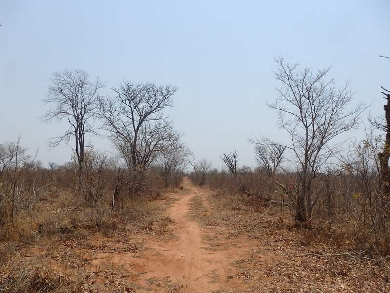 Road towards the Confluence at 9.3 km distance