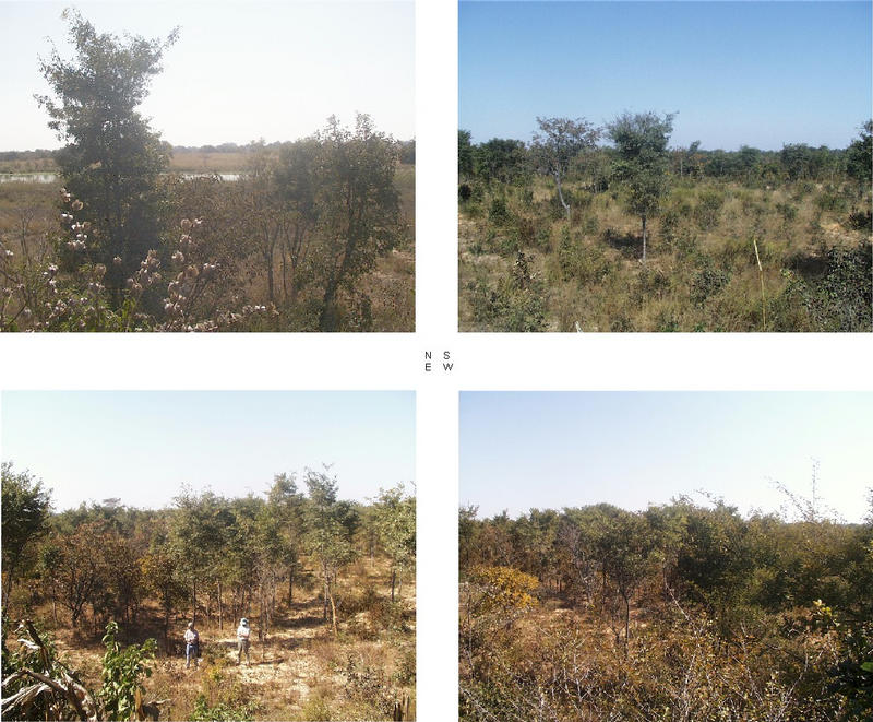 4 Views from the top of the giant anthill, river confluence visible to the North with wild Cape Goosberry bush in the foreground