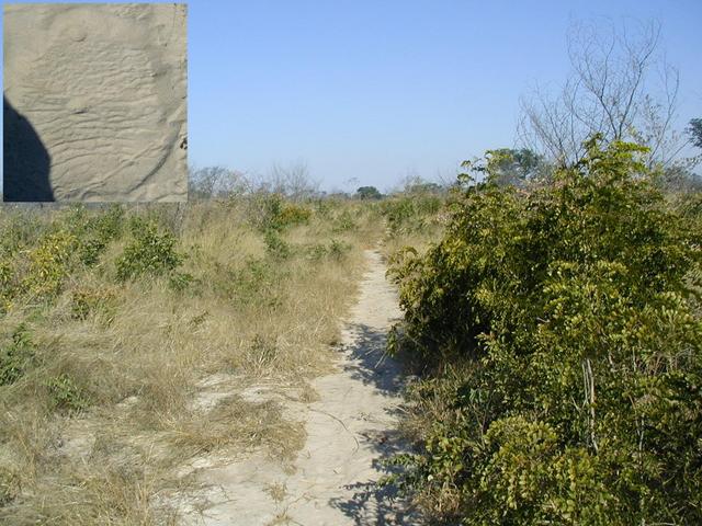 The road, inset showing tracks of only other traffic