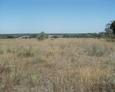 #2: View South, grass land