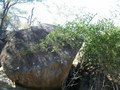 #5: Facing East